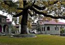 MONOHMEΡΗ ΕΚΔΡΟΜΗ ΜΕΤΣΟΒΟ – ΑΓΙΑ ΠΑΡΑΣΚΕΥΗ  26/07/2026